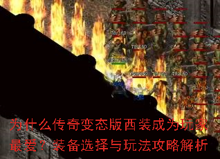 Ϊʲô̬װΪװѡ淨Խ