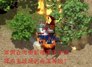 如何在传奇新服务器中选择杀鬼战场的合适等级? 如何在传奇新服务器中选择杀鬼战场的合适等级?