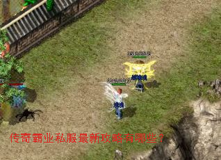 传奇霸业私服最新攻略有哪些? 传奇霸业私服最新攻略有哪些?