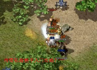 传奇私服新手入门攻略? 传奇私服新手入门攻略?