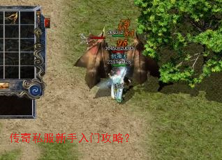 传奇私服新手入门攻略? 传奇私服新手入门攻略?