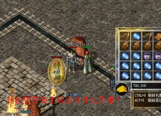 热血传奇转生玩法有什么作用? 热血传奇转生玩法有什么作用?