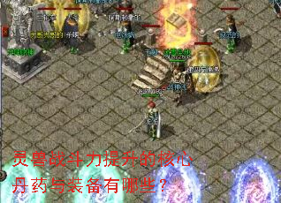 灵兽战斗力提升的核心丹药与装备有哪些? 灵兽战斗力提升的核心丹药与装备有哪些?