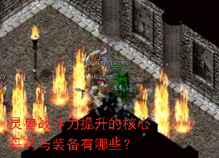 灵兽战斗力提升的核心丹药与装备有哪些? 灵兽战斗力提升的核心丹药与装备有哪些?