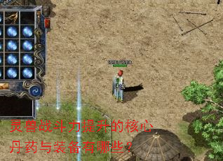 灵兽战斗力提升的核心丹药与装备有哪些? 灵兽战斗力提升的核心丹药与装备有哪些?