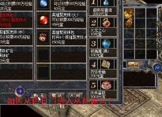 如何从白日门进入丛林迷宫? 如何从白日门进入丛林迷宫?