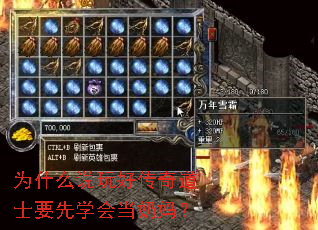 为什么说玩好传奇道士要先学会当奶妈? 为什么说玩好传奇道士要先学会当奶妈?