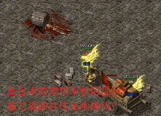 圣言术的成功率如何提升?魔法盾能扛住冰咆哮吗? 圣言术的成功率如何提升?魔法盾能扛住冰咆哮吗?