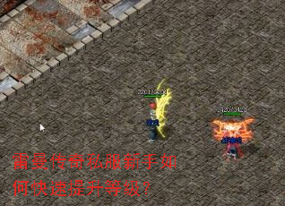 雷曼传奇私服新手如何快速提升等级? 雷曼传奇私服新手如何快速提升等级?