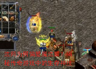 ��ʦΪ��ƫ��ħ���ܣ����ش�����Ϸ�е�������