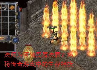 ��ʦΪ��ƫ��ħ���ܣ����ش�����Ϸ�е�������