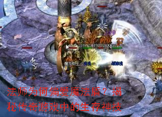 ��ʦΪ��ƫ��ħ���ܣ����ش�����Ϸ�е�������