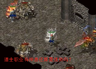 ��ʿְҵ�����޻�����������