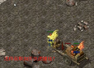 ��ʦǰ����ο���׬Ǯ��