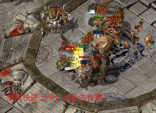 ��ο�������1.76���Ŵ��棿