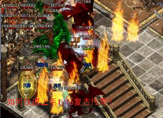 ��ο�������1.76���Ŵ��棿