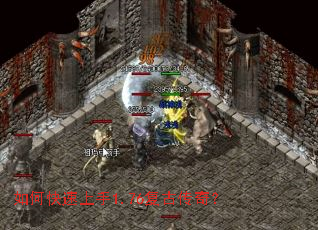 ��ο�������1.76���Ŵ��棿