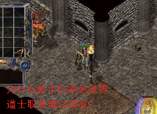 为什么新手玩家总觉得道士职业难以驾驭? 为什么新手玩家总觉得道士职业难以驾驭?