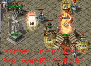 ��ο�����������˽���������˵ȼ���ף����ʹ�ü�������Щ��