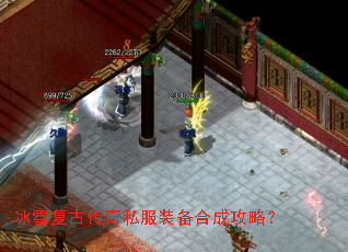 ��ѩ���Ŵ���˽��װ���ϳɹ��ԣ�