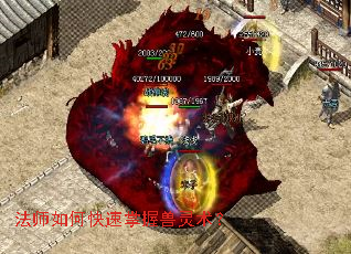 ��ʦ��ο���������������