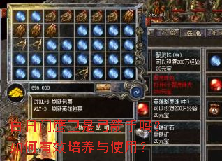 白日门鹰卫是弓箭手吗?如何有效培养与使用? 白日门鹰卫是弓箭手吗?如何有效培养与使用?