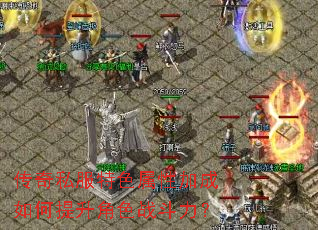 ����˽����ɫ���Լӳ����������ɫս������