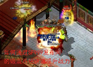 ���ͨ��SF999�������Ķ���ϵͳ��������ս����