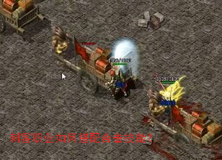 刺客职业如何搭配合击技能? 刺客职业如何搭配合击技能?