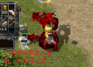 ɳ��Աר��������������������