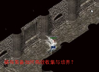 稀有装备如何高效收集与培养? 稀有装备如何高效收集与培养?