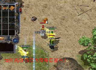 ��θ�Ч��ȡ����ÿ�ո�����