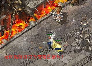 ��θ�Ч��ȡ����ÿ�ո�����