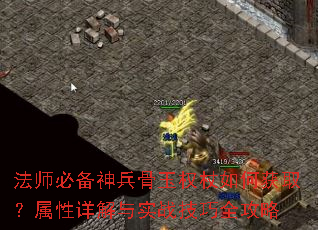 ��ʦ�ر��������Ȩ����λ�ȡ�����������ʵս����ȫ����