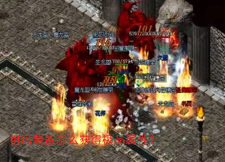 ����װ����ô��ü�Ʒ���ԣ�