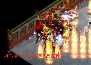 ����װ����ô��ü�Ʒ���ԣ�