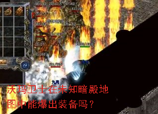 沃玛卫士在未知暗殿地图中能爆出装备吗? 沃玛卫士在未知暗殿地图中能爆出装备吗?