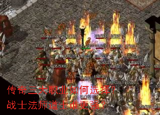 ��������ְҵ���ѡ��սʿ��ʦ��ʿ˭��ǿ��