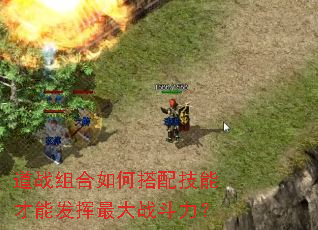 道战组合如何搭配技能才能发挥最大战斗力? 道战组合如何搭配技能才能发挥最大战斗力?