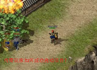 ���������γɹ�������Ŀ��