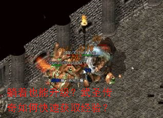 ����Ҳ����������ʥ������ο��ٻ�ȡ���飿