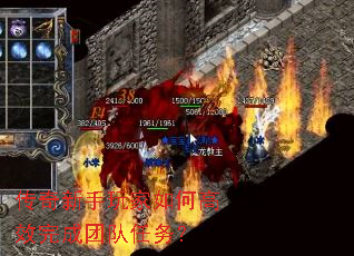 �������������θ�Ч����Ŷ�����