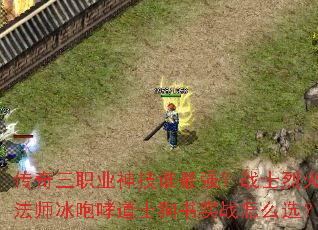 ������ְҵ��˭��ǿ��սʿ�һ�ʦ��������ʿ����ʵս��ôѡ��