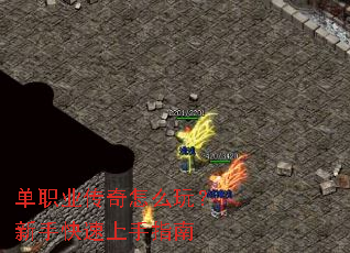 ��ְҵ������ô�棿���ֿ�������ָ��