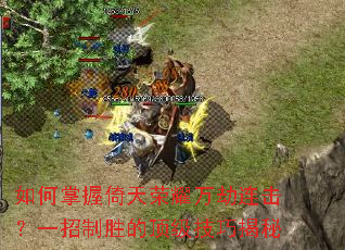 �������������ҫ���������һ����ʤ�Ķ������ɽ���