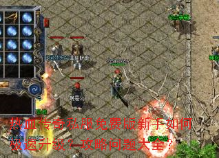 ��Ѫ����˽����Ѱ�������μ������������������ȫ��