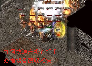 如何快速升级?新手必看装备获取秘诀 如何快速升级?新手必看装备获取秘诀