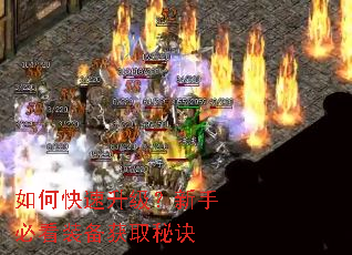 如何快速升级?新手必看装备获取秘诀 如何快速升级?新手必看装备获取秘诀