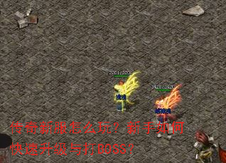 传奇新服怎么玩?新手如何快速升级与打BOSS? 传奇新服怎么玩?新手如何快速升级与打BOSS?