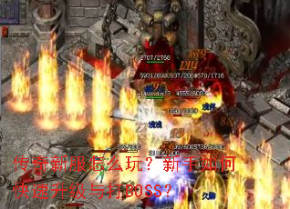 传奇新服怎么玩?新手如何快速升级与打BOSS? 传奇新服怎么玩?新手如何快速升级与打BOSS?